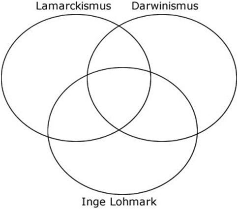 The Theory Of Functional